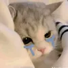 vodanh509