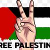 mohamedjaber210