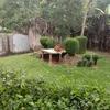 apoyazah