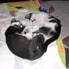 andreafernandavil3
