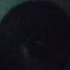 hdjsoyvenmld