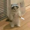lizzzy.222