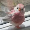 aespiicy