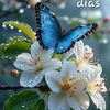 astrid_6241