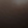 shadowrunner53