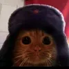 loooooooooovely