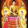 thaydoi0201
