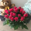 liyloo22