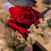 alaa_mohamed_1999