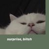 stupidh0e___666