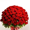 marocbladiiii