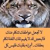dyeby896hqm8