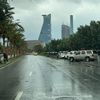 turkialharbialmuhammadi1