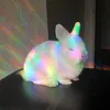 lan_bunji