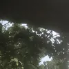 marcuscooling0
