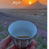 user305.naser