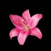 sumaira.best.1