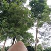 fabiolalg20