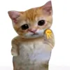 ddaily.ama
