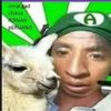el_compa_pato59
