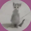 sherbbiee