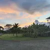zel_lg8