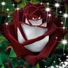 florgalicia