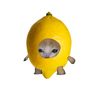 lemonangis