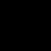 n2s_95lp