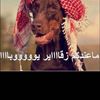 user16o5pgx53o