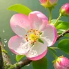 thanh596901