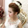 lan.bui113