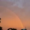 user000211590