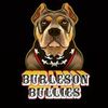 Burleson Bullies, llc