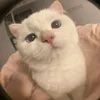 anhthuuu_01