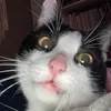 crazynala8