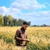 ismailmohamed308