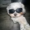 giancafi