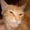 henry2817_