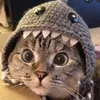 zimbathekitten