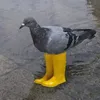 pigeon_likes_pringles