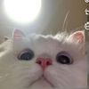 رياكشنات على كيف مخكي 🤩