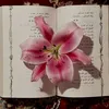 rufffy_art