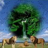 hmadbouskoura