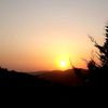 sadeel.tarhini