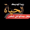 user9921758899123