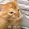 brayan664_