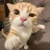 jordanyop