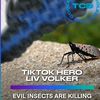 livanysquisher