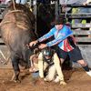 cowboyprotection
